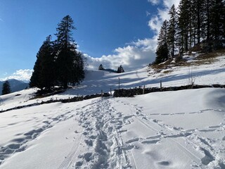 Wonderful winter hiking trails and traces on the slopes of the Alpstein mountain range and in the fresh alpine snow cover of the Swiss Alps - Unterwasser, Switzerland (Schweiz)