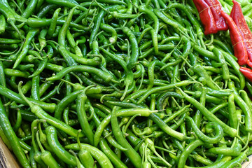 Grocery department,green pepper fresh for sale,large quantity,