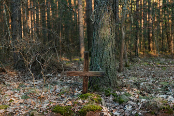 Bezimienny grób w lesie. Stary drewniany krzyż o popękanej ze starości strukturze wbity jest w mogiłę porośniętą mchem. - 492361844