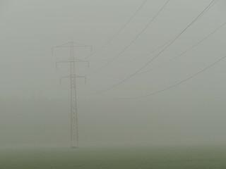 Fototapeta Wiosenny mglisty poranek nad łąkami. Drzewa, słupy elektryczne pogrążone są w gęstej mgle. obraz