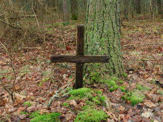 Bezimienny krzyż w lesie. Drewno z którego jest wykonany jest ze starości spękane. Wbity jest on we wzgórek mogiły porośniętej zielonym, gęstym mchem. - 492362225