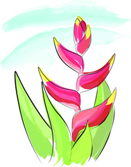 Tropical heliconia flower in red colors. Bright colorful 
vector illustration