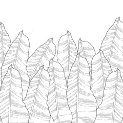 black and white background