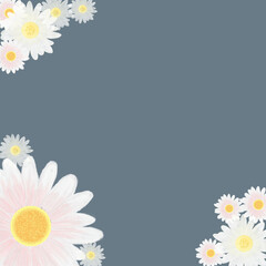frame of daisies