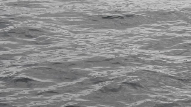 Close-up of shallow sea water surface texture, silver sea at depressive overcasted weather