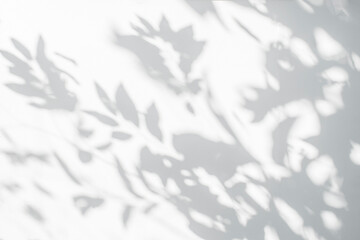 Leaf shadow and light on wall blur background. Nature tropical leaves tree branch plant shade...
