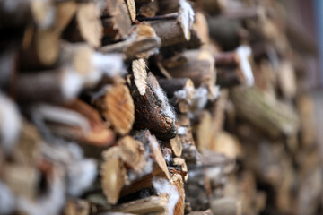 Firewood for the oven