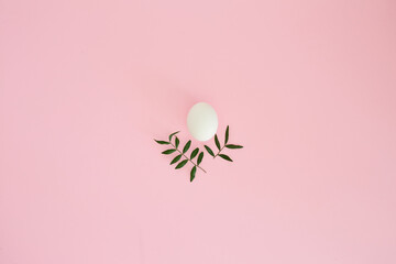 Easter egg and plants on pink background