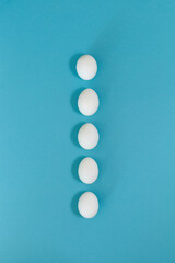 White eggs on blue paper background