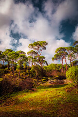 Fototapety na wymiar - Fototapeta24.pl