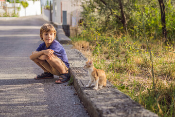 Boy outdoors with a kitten along the road