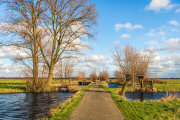 Narrow country road in a Dutch polder landscape. It is a sunny day with clouds in the blue sky. The photo was taken near the village of Gouderak, South Holland.