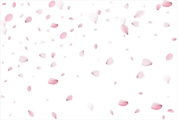 Sakura petals. Cherry petals backdrop