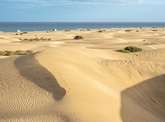 Famous natural park Maspalomas dunes in Gran Canaria at sunset, Canary island, Spain