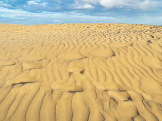 Famous natural park Maspalomas dunes in Gran Canaria at sunset, Canary island, Spain