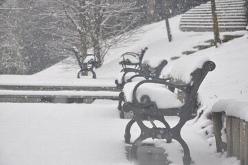 snow covered bench in winter