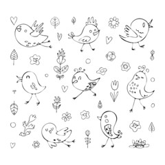 a set of individual elements Birds and flowers in a cartoon stylized style Black and white lines A set for creating prints and decor Vector hand drawn stock illustration Doodles 