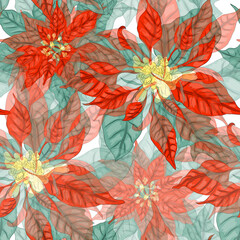 Seamless pattern with the vibrant Poinsettia flower