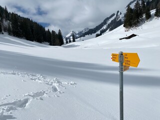 Hiking markings and orientation signs with signposts for navigating in the idyllic winter ambience on the Alpstein mountain massif and in the Swiss Alps - Unterwasser, Switzerland (Schweiz)