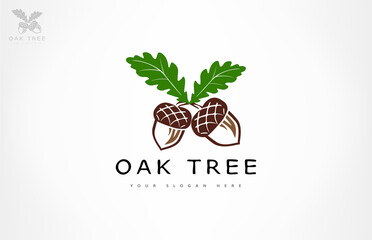 Oak tree logo. Acorn  vector. © Natalia Iachimova