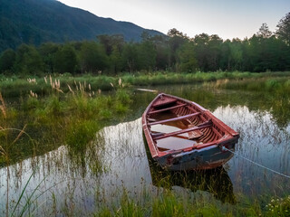 Fishing boat on the shores of the Pyuhuapi fjord, Queulat National Park, Patagonia, Chile