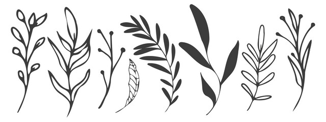 Naklejka na ściany i meble Vector plants and grasses. Minimalist black style of hand drawn plants. With leaves and organic shapes. For your own design.