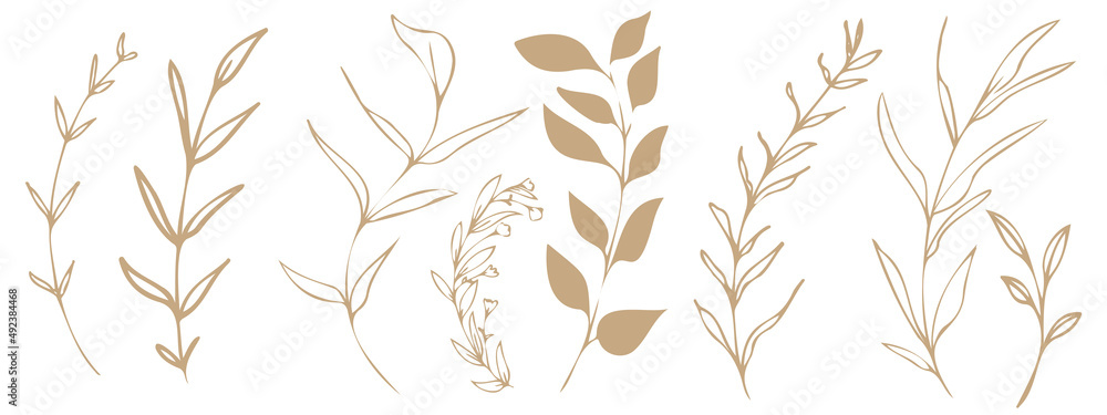 Wall mural Vector plants and grasses. Minimalist style in brown colors of hand drawn plants. With leaves and organic shapes. For your own design.