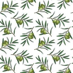 seamless pattern with drawing branch of olive tree with fruits and leaves at white background, hand drawn illustration