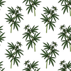 seamless pattern with drawing cannabis at white background, hand drawn illustration