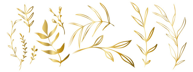 Obraz premium Vector plants and grasses in gold style with shiny effects. Minimalist style. Hand drawn plants. With leaves and organic shapes. For your own design.