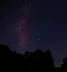 Fototapeta na wymiar Milky Way rising over a North Carolina forest