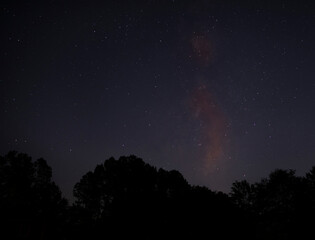 Trees in silho8uette with stars and Milky Way behind