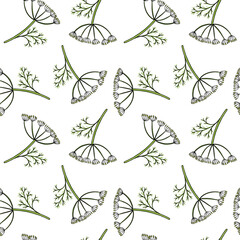 seamless pattern with drawing plant of dill at white background, hand drawn illustration