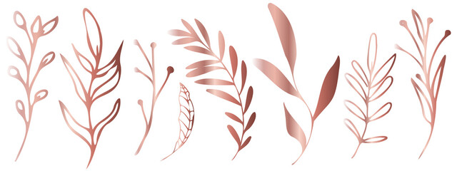 Vector plants and grasses in gold style with shiny effects. Minimalist style. Hand drawn plants. With leaves and organic shapes. For your own design.