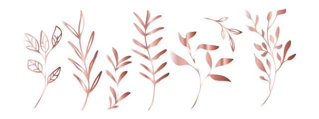 Fototapeta na wymiar Vector plants and grasses in gold style with shiny effects. Minimalist style. Hand drawn plants. With leaves and organic shapes. For your own design.