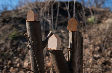 wooden house models on tree stump in the outdoors. concept image for wood as a renewable and...