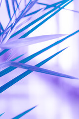 Potted plant exotic green leaves natural vertical background