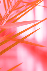 Potted plant exotic green leaves natural vertical background