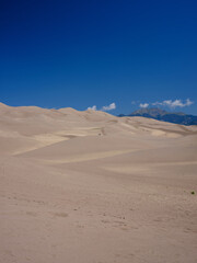 Fototapeta na wymiar Vertical image of the sand dunes in Colorado