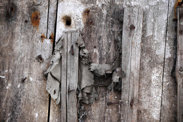Old wooden burnt door