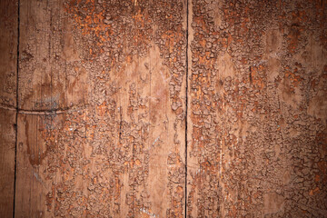 texture of the brown wooden surface of the old door, photo for text
