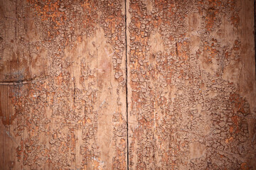 texture of the brown wooden surface of the old door, photo for text