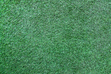 The green grass background for texture