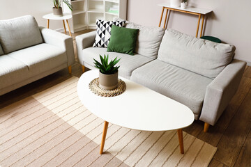 Coffee table with houseplant in light living room