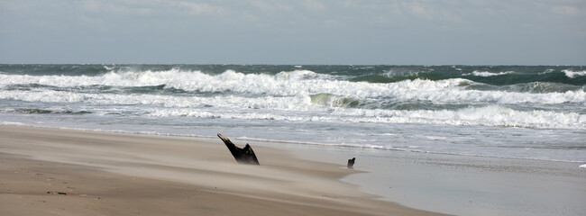 Panoramic image of an old ships mast exposed at low tide on an Outer banks beach in North Carolina...