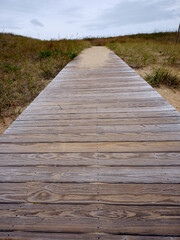 Fototapeta premium Wood deck path leading across the dunes on a beach of the outer Banks of North Carolina