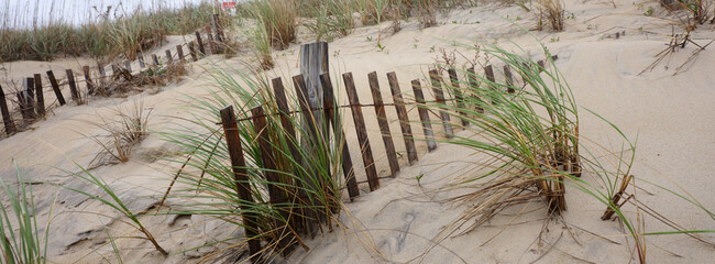 Panoramic image of sand dunes and storm fencing on the beach of the Outer Banks of North Carolina © Jorge Moro