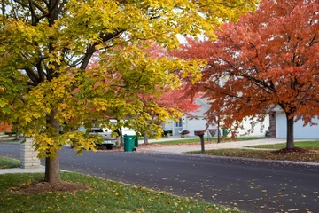 Keuken spatwand met foto Colorful Autumn Trees along a Beautiful Neighborhood Street in Suburban Illinois © James