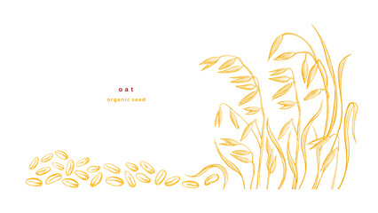 Golden oat, seed Vector golden engraving Farm food