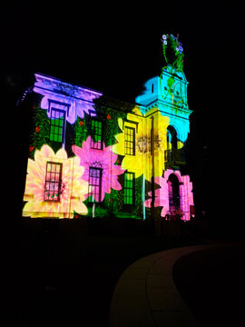 Building Flower Light Display Projection